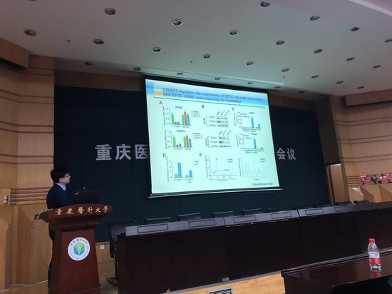 易萍 教授 报告题目：RNA结合蛋白在卵巢癌发病中的作用及机制